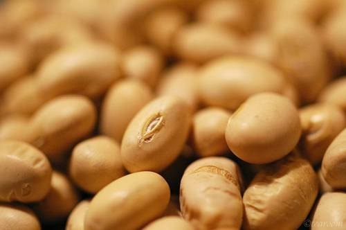 Uses for Soybeans Uses for Soybeans