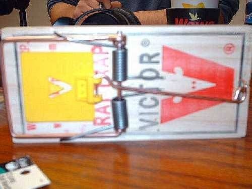 A standard snap type trap A standard snap type trap
