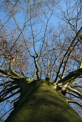 An unusual viewpont can contribute to a successful photograph. An unusual viewpont can contribute to a successful photograph.