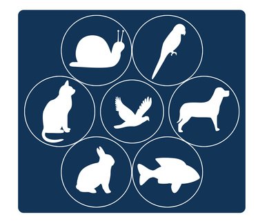 All Creatures Great and Small All Creatures Great and Small
