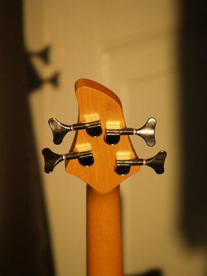 Spector basses normally have the serial number printed on the back of the headstock. Spector basses normally have the serial number printed on the back of the headstock.