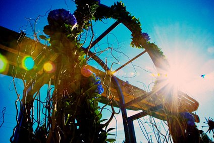 More than a decoration, a wedding arch can have religious significance. More than a decoration, a wedding arch can have religious significance.
