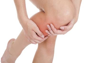 Knees are the largest joints in the body. Knees are the largest joints in the body.