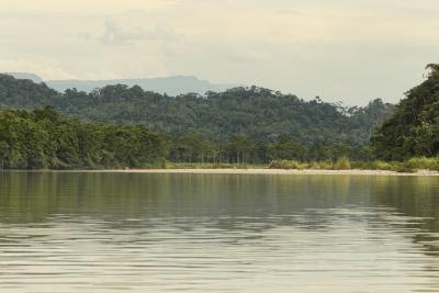 The Amazon rainforest contains plants and animals found in no other area. The Amazon rainforest contains plants and animals found in no other area.