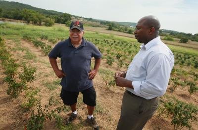 Dept. of Agriculture official and farmer stand in green pepper field Dept. of Agriculture official and farmer stand in green pepper field
