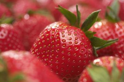 Close up of seeds on outside of a strawberry. Close up of seeds on outside of a strawberry.