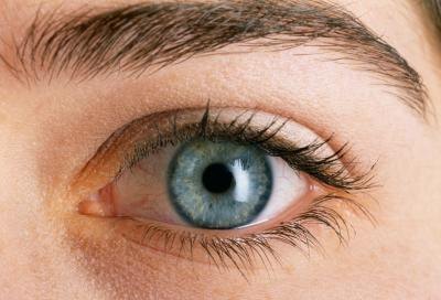 The Best Vitamins for the Eyes The Best Vitamins for the Eyes