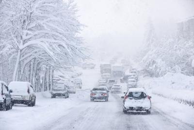 Blizzards disturb the lives of animals and humans. Blizzards disturb the lives of animals and humans.