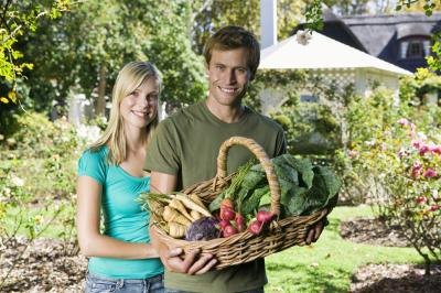 Growing vegetables Growing vegetables