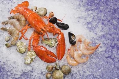 Lobster and other shellfish can raise uric acid levels in the bloodstream. Lobster and other shellfish can raise uric acid levels in the bloodstream.