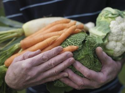 Man holding harvested vegetables Man holding harvested vegetables