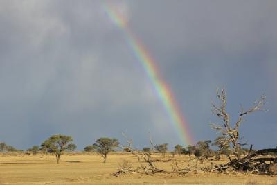 Rainbow and storm clouds over the Kalahari Desert, South Africa Rainbow and storm clouds over the Kalahari Desert, South Africa