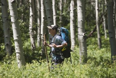 Hikers may wish to snack on wild, red berries. Hikers may wish to snack on wild, red berries.