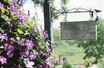 Flowering vines lend a welcoming, homey touch to entryways. Flowering vines lend a welcoming, homey touch to entryways.
