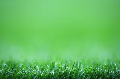 Zoysia grass has lower fertilizer requirements than cooler season grasses. Zoysia grass has lower fertilizer requirements than cooler season grasses.