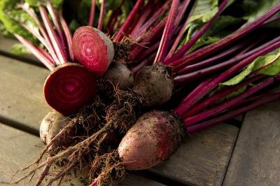 Beet roots. Beet roots.