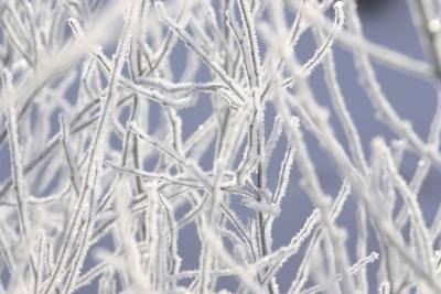 Make believe snow flakes will add a fabulous item to your winter wonderland centerpiece Make believe snow flakes will add a fabulous item to your winter wonderland centerpiece