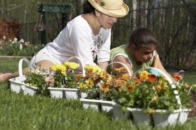 Gardening Gardening