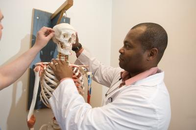 Man studying skeleton Man studying skeleton