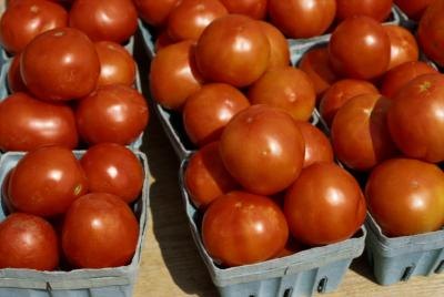 Tomatoes Tomatoes