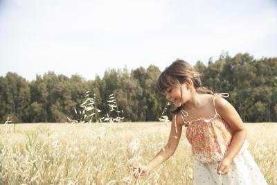 A girl standing in a wheat field. A girl standing in a wheat field.