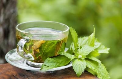 Green tea is a popular weight loss supplement. Green tea is a popular weight loss supplement.