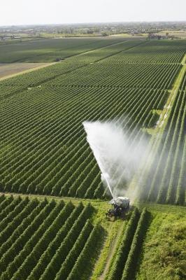 The Northeast region of the United States is home to many important natural resources The Northeast region of the United States is home to many important natural resources