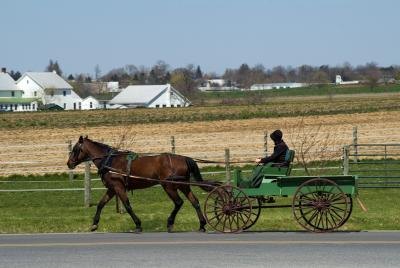 Amish Horse & Cart Amish Horse & Cart