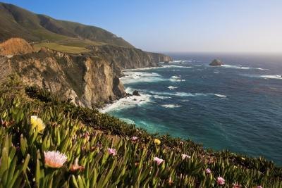 Parts of California are good for allergy sufferers. Parts of California are good for allergy sufferers.