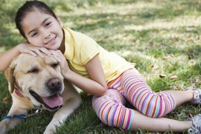 Many airlines will allow you to ship your pets as cargo. Many airlines will allow you to ship your pets as cargo.