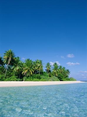 The Indian Ocean is home to many species. The Indian Ocean is home to many species.