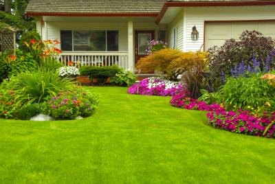 House with a beautiful green lawn House with a beautiful green lawn