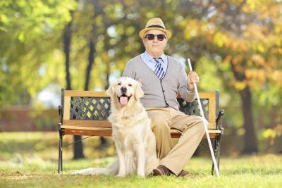 Visually impaired senior with dog and walking stick. Visually impaired senior with dog and walking stick.