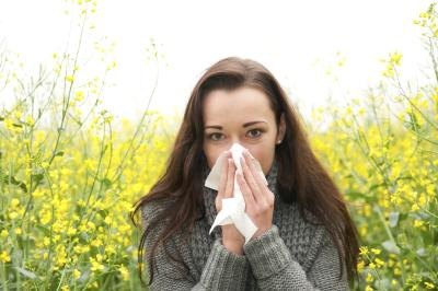 Allergies can cause a loss of productivity. Allergies can cause a loss of productivity.