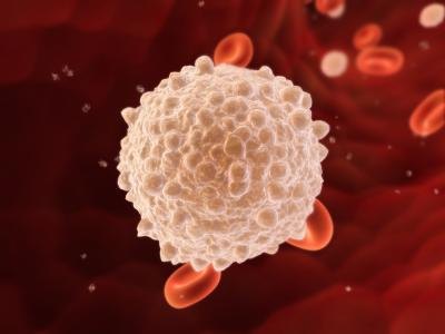 Model of a white blood cell Model of a white blood cell