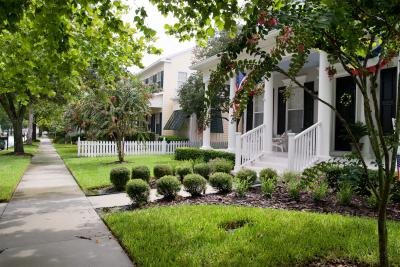 A sidewalk in a neighborhood with attractive homes. A sidewalk in a neighborhood with attractive homes.