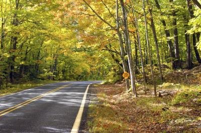 A road running through a forest in Michigan in the fall. A road running through a forest in Michigan in the fall.