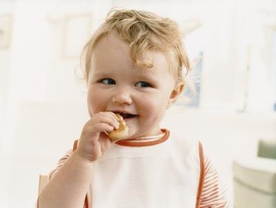 A growing baby eats a biscuit. A growing baby eats a biscuit.
