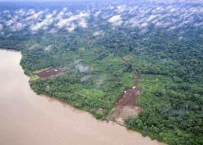 the Amazon Rainforest is one of the world's greatest natural wonders the Amazon Rainforest is one of the world's greatest natural wonders