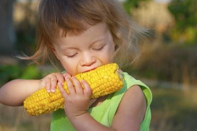 Little girl eating corn Little girl eating corn