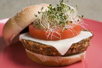 Vegetarian burger. Vegetarian burger.