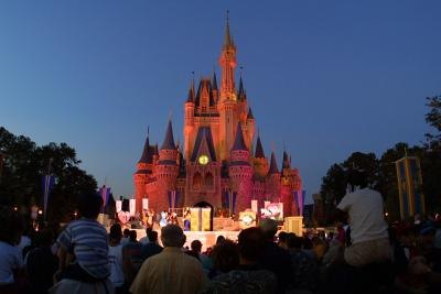 Cinderella's castle at Walt Disney World theme park Cinderella's castle at Walt Disney World theme park