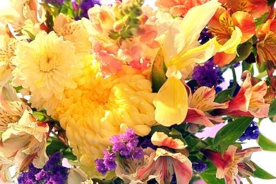 Mixed bouquets work for any occasion. Mixed bouquets work for any occasion.
