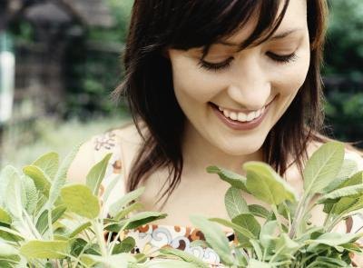 How Much Sage Extract Should Be Taken for Excessive Sweating? How Much Sage Extract Should Be Taken for Excessive Sweating?