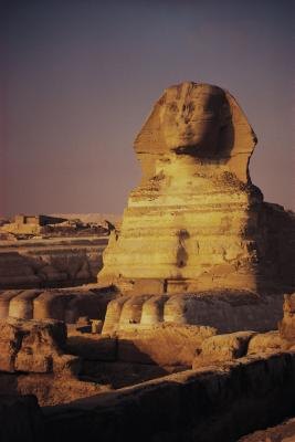 The starting position of this push-up involves a sphinx-like pose. The starting position of this push-up involves a sphinx-like pose.