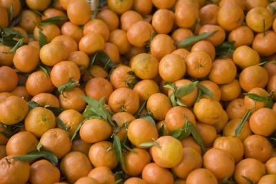 The sweet, seedless and easy-to-peel Cutie is a tasty, nutritious snack. The sweet, seedless and easy-to-peel Cutie is a tasty, nutritious snack.