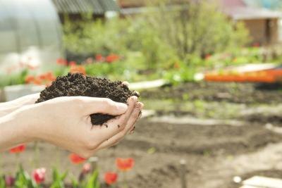 woman holding out fertilizer in garden woman holding out fertilizer in garden
