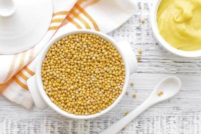 bowl of mustard seeds and mustard spread bowl of mustard seeds and mustard spread