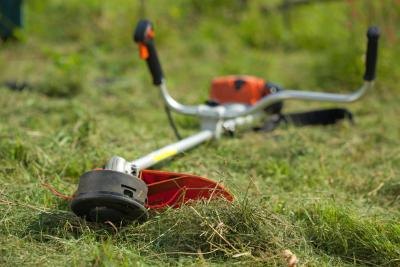 String trimmer. String trimmer.