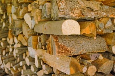 Dry firewood stored inside of a shed. Dry firewood stored inside of a shed.